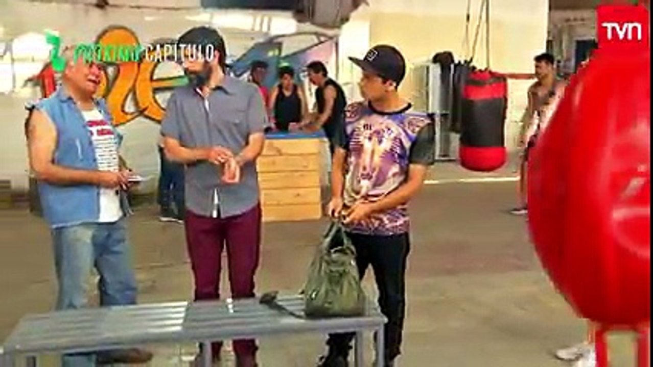 144 Avance  Wena Profe