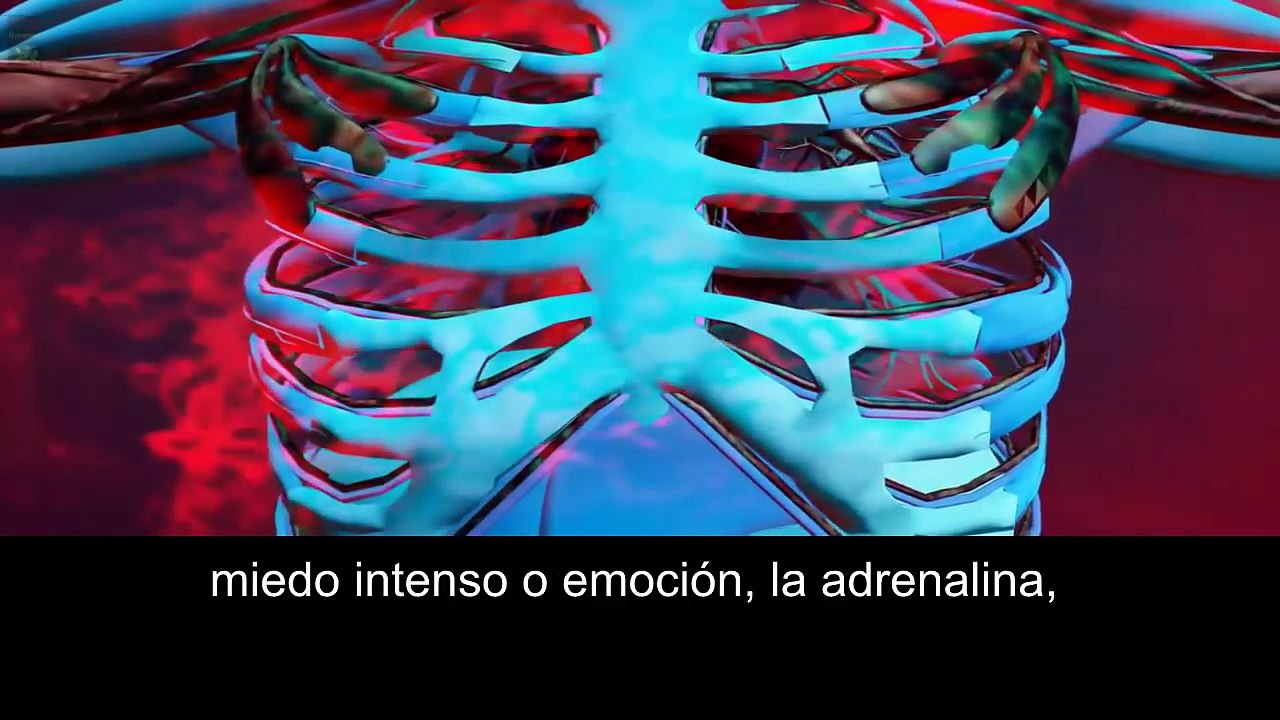 Adrenocromo. El Documental 2018