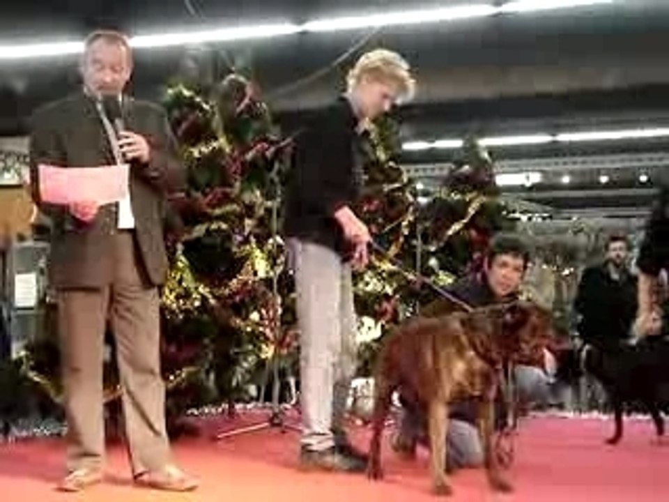 Speed podium MOV