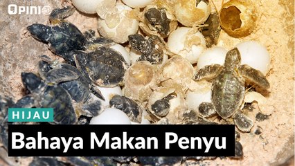 #1 MENIT | Bahaya Makan Penyu