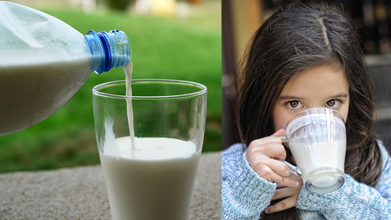 Keep Dairy Products Fresh | Milk, Curd को fridge में रखना काफी नहीं, ऐसे रखें उन्हें ताज़ा | Boldsky
