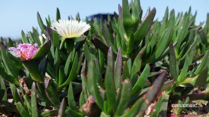 Essai - Mitsubishi Pajero 2018 : victime de la norme