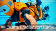 Ocean One: el robot buceador que explora sitios arqueológicos