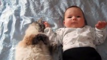Cat Playing with Baby - Best of Cute Cats Love Babies Compilation - So Funny Part 5