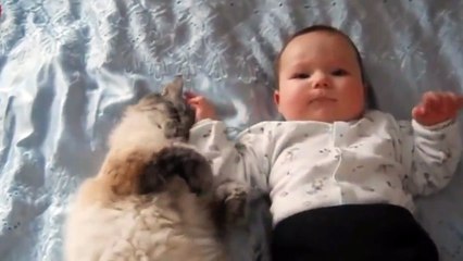 Cat Playing with Baby - Best of Cute Cats Love Babies Compilation - So Funny Part 5