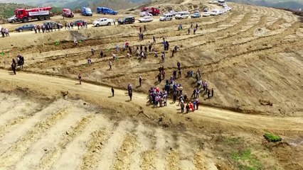 Yangının kül ettiği alana 35 milyon tohum - KÜTAHYA