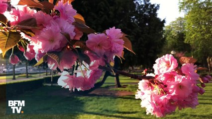 28°C ce jeudi, 2°C il y a un mois: en images, le contraste saisissant à Paris