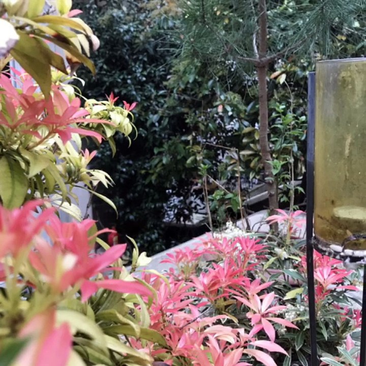 Le printemps est arrivé !