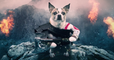 Dog of War - Anuncio parodia de God of War para PS4