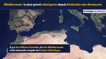 Méditerranée  le plus grand cataclysme depuis l'extinction des dinosaures