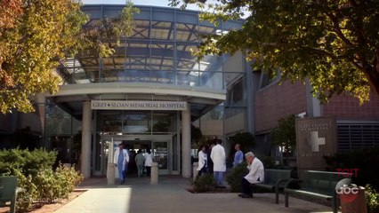 Grey's Anatomy Season 14 Episode 20 (Online Streaming)