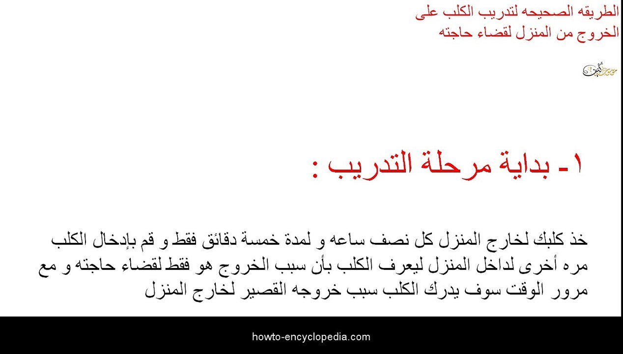تدريب الكلاب على الحمام وقضاء حاجتها في التوليت
