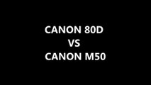 Canon 80D vs Canon M50