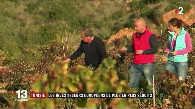 Tunisie : les investisseurs européens de plus en plus séduits