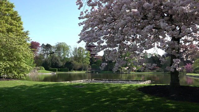 Les Serres royales de Laeken à nouveau ouvertes au public