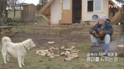 이토록 바람직한 투샷♡ 소지섭&숲속의 작은 개