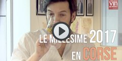 Corse : Comment la sécheresse a façonné le millésime 2017