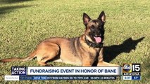 Phoenix Police Foundation holding fundraiser for K-9 Unit in honor of Bane