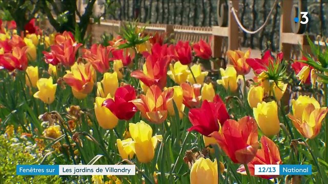 Indre-et-Loire : visite des jardins du château de Villandry