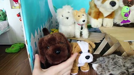 All of My American Girl Doll Pets! 2016