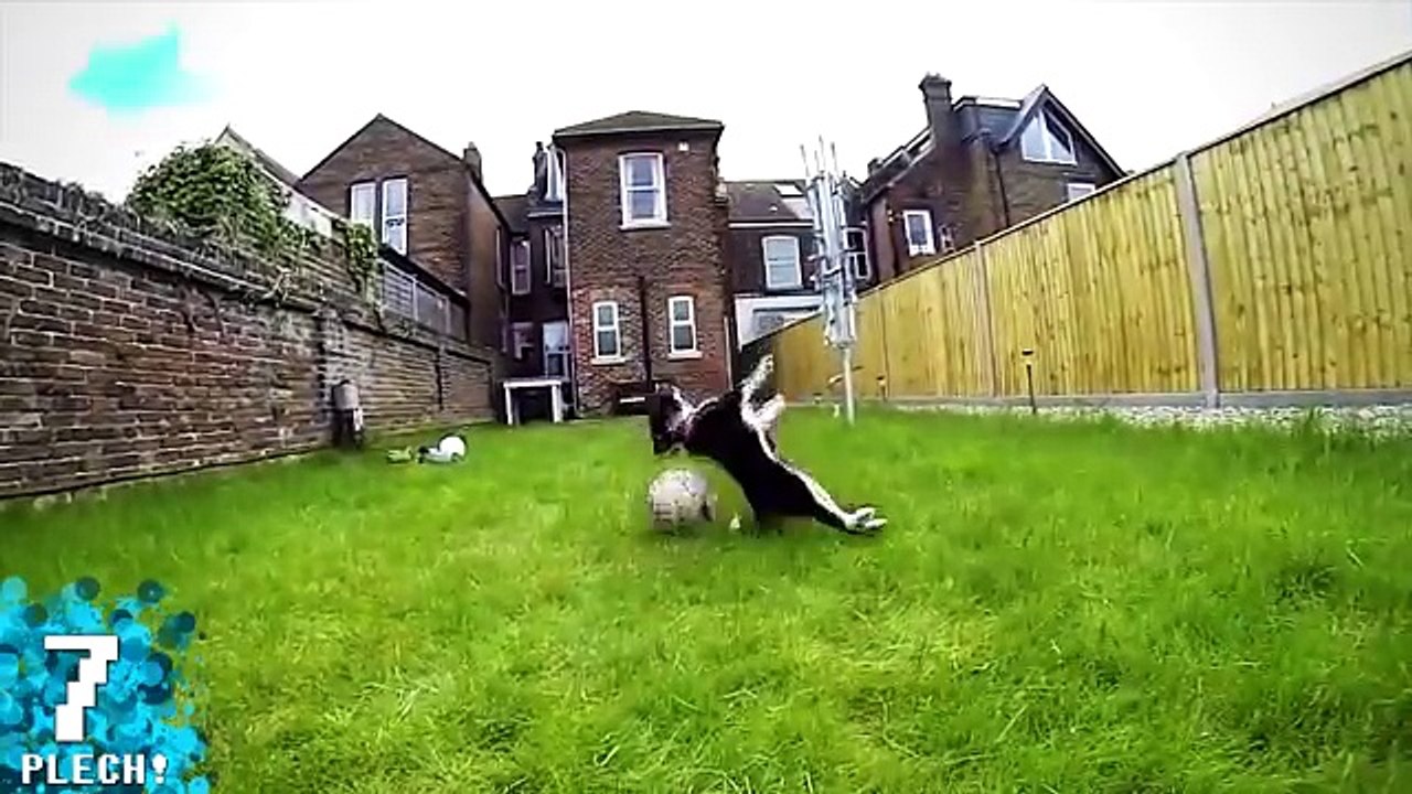 Las 10 Enfermedades Más Extrañas | El Plech