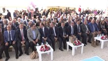 Artık Hibrit Arabalar Gibi Hibrit Gençler Gerekiyor