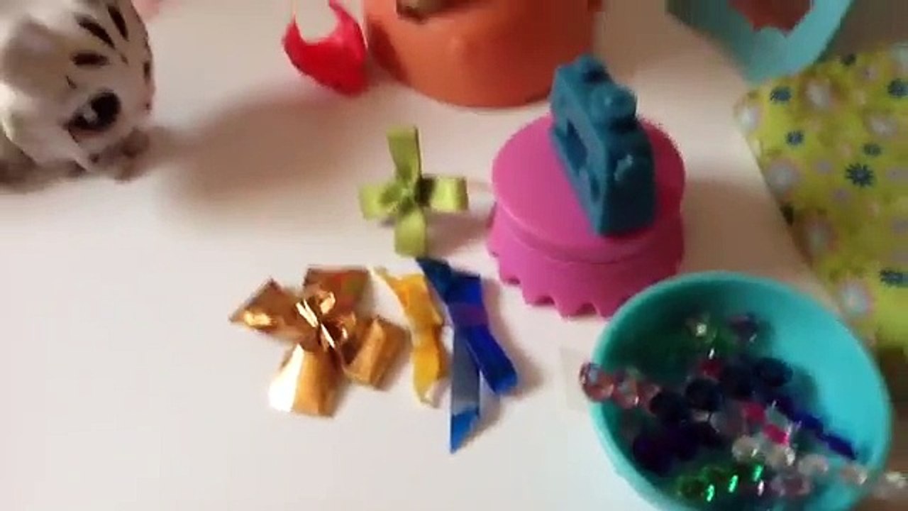 Littlest Pet Shop: Nový začatek (Epizoda 1: Všechno nějak začíná)