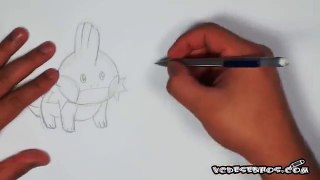 Como desenhar Pokemons Iniciais #3