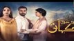 Teri Meri Kahani Episode #18 HUM TV Drama 19 April 2018 - dailymotion