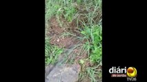 Vídeo mostra vazamento de água em parede do açude de São Gonçalo