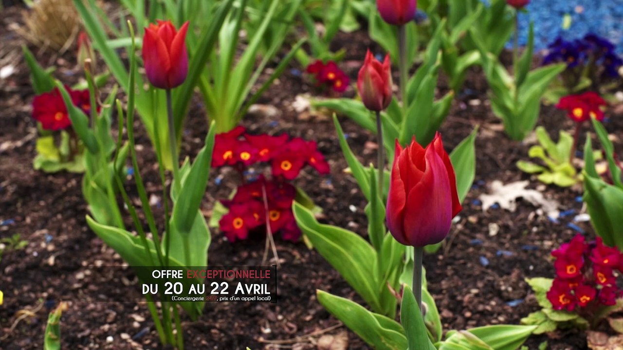 QUOI DE NEUF S03E28 CHELLES - Le Clos du Canal