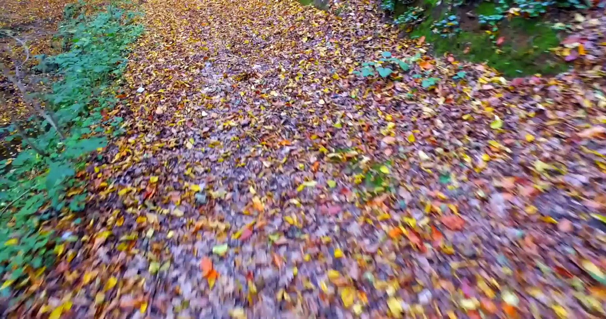 ⁣Cevahir Karaca Yürü Be Hey Yalan Dünya