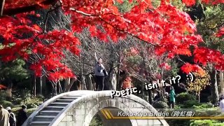 7 Best Places to Visit in Hiroshima! | Japan Travel Guide