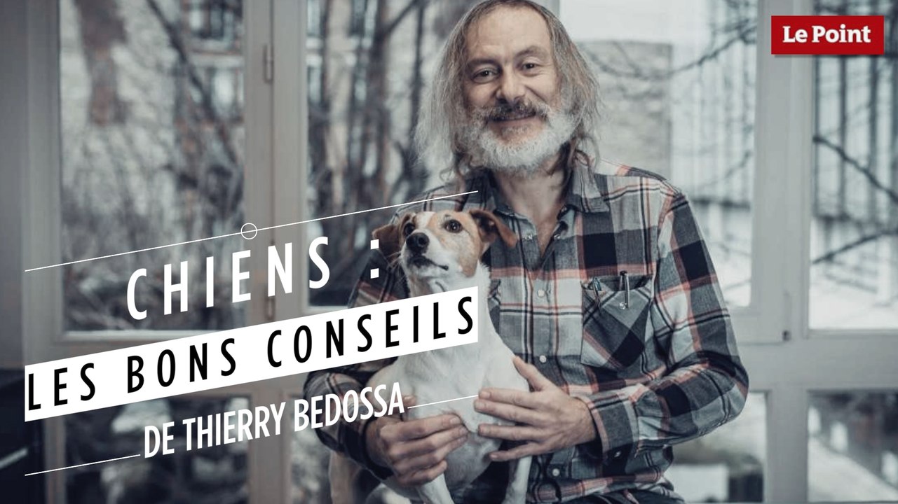 Thierry Bedossa : faut-il stériliser son chien ?