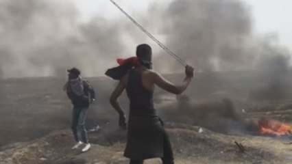 Download Video: Cuatro palestinos muertos por disparos israelíes en las protestas de Gaza