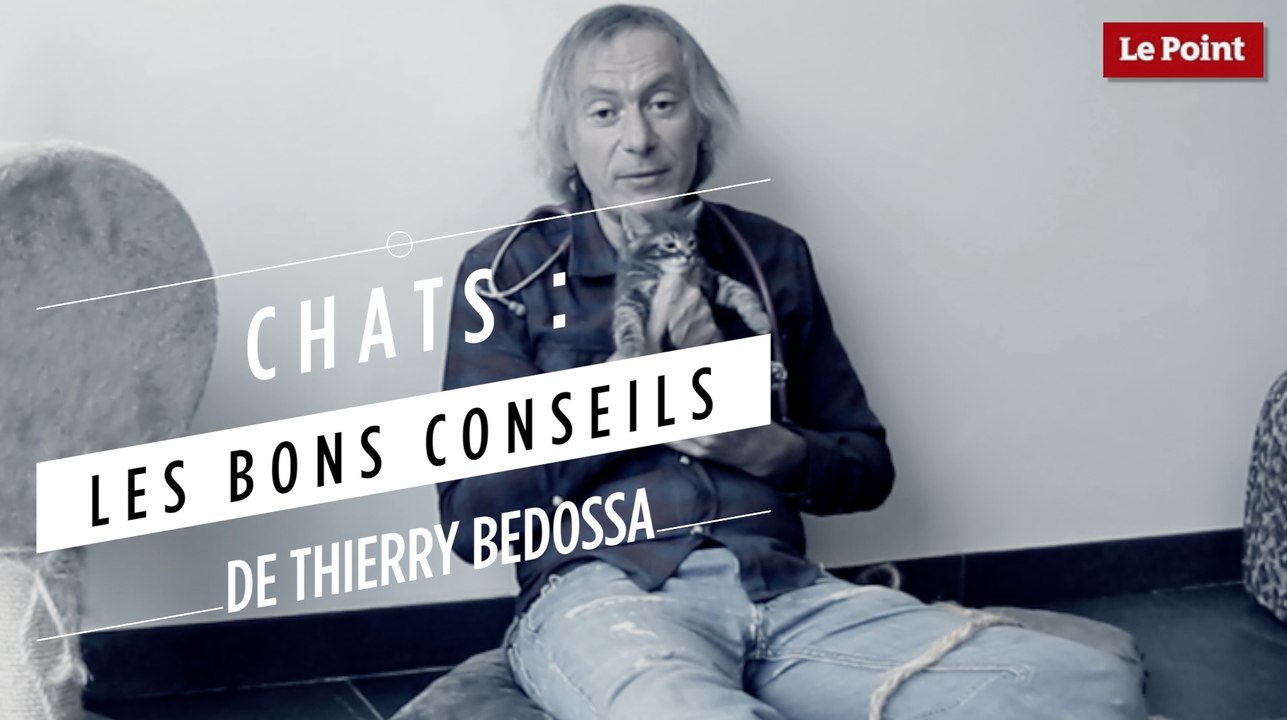 Thierry Bedossa : Faut-il stériliser son chat ?