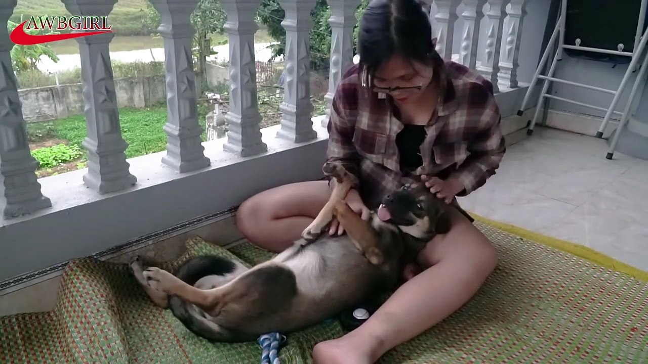 Lovely smart girl Playing Baby Cute Dogs On Rice Fields || How to play with dog & Feed bab