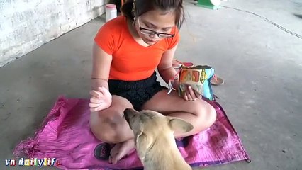 Lovely smart girl Playing Baby Cute Dogs On Rice Fields || How to play with dog & Feed bab