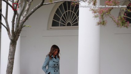 Revealed: Melania Trump's Secret Messages in Her Clothes