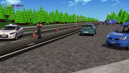 Asayiş uygulaması - animasyon - İSTANBUL