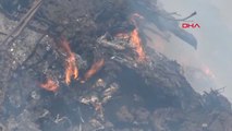 Balıkesir Edremit'te Zeytinlik Alanda Çıkan Yangın Korkuttu
