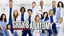 Greys Anatomy Season 14 Episode 20 Streaming HD