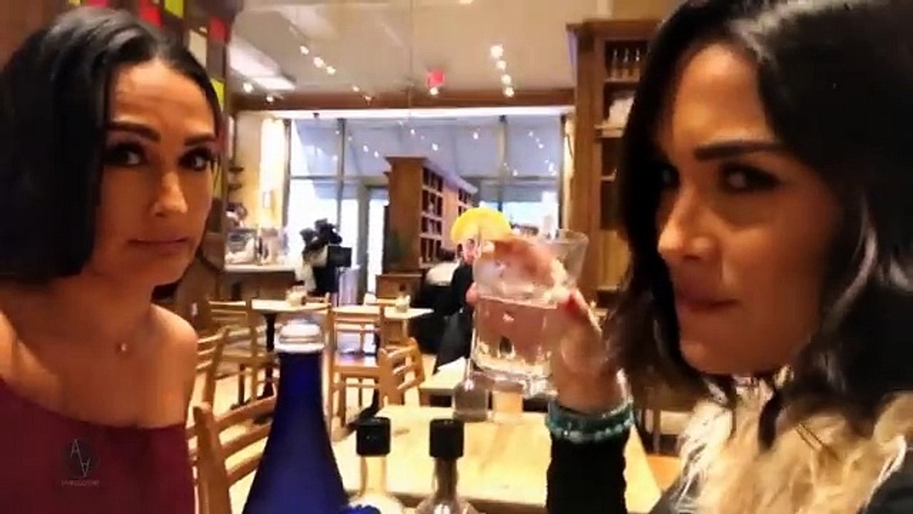 The Bella Twins - Funny Moments (Part 1)