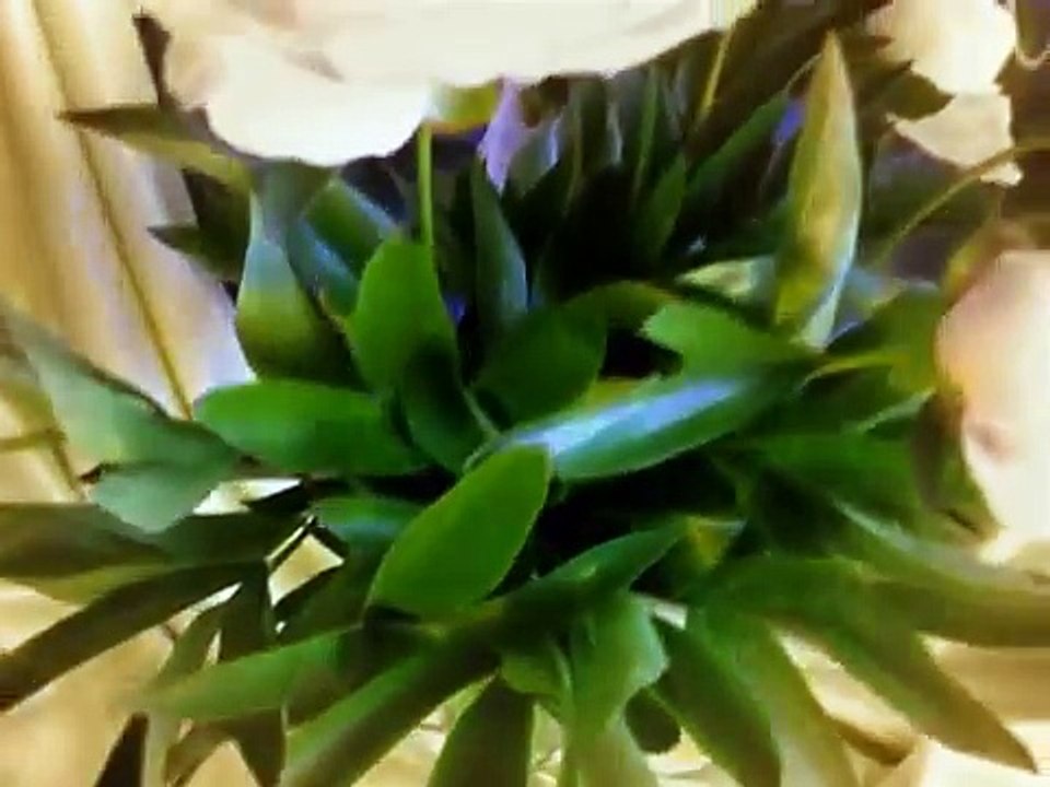 Фикс Прайс в моём интерьере