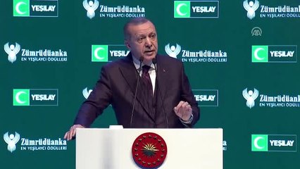Cumhurbaşkanı Erdoğan: "Yalnızlaşan Gençler Çareyi Sanal Ortamlardaki Sahte Karakterlerde Arıyor"