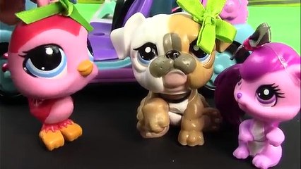 LPS Drive Thru - Mommies Part 33 Littlest Pet Shop Series Movie LPS Mom Babies