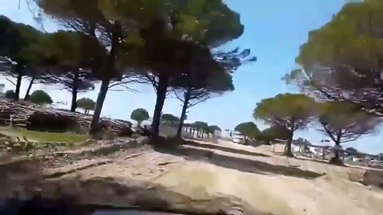Gjiri i Lalezit