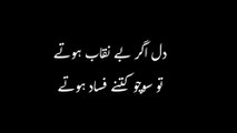 جو ہم سچ میں خراب ہوتے تو سوچو کتنے فساد ہوتے۔__Heart Touching Poetry