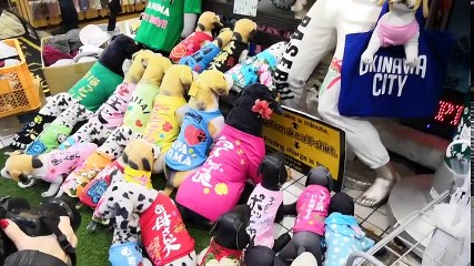 Why I dont want to take your selfie . SOMETIMES