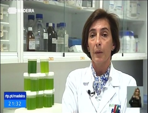 Porto Santo tem projecto para ser a Primeira Ilha Livre de Combustíveis Fósseis - Produção de Microalgas